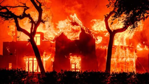 Los Angeles wildfire czar’s $500K paycheck for 90 days of work draws swift blowback, mayor reverses course…